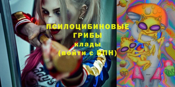 ГАЛЛЮЦИНОГЕННЫЕ ГРИБЫ Фурманов
